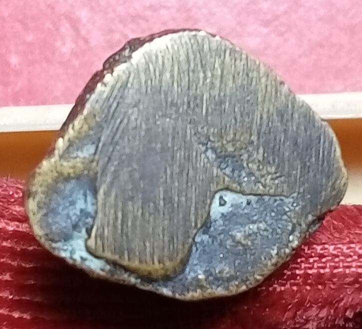 20260306_211050.jpg