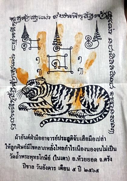 5191720.jpg